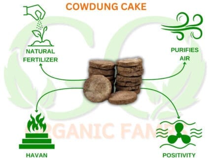 Organic cow dung cakes