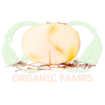 Shea Butter Soap with Saffron decoration