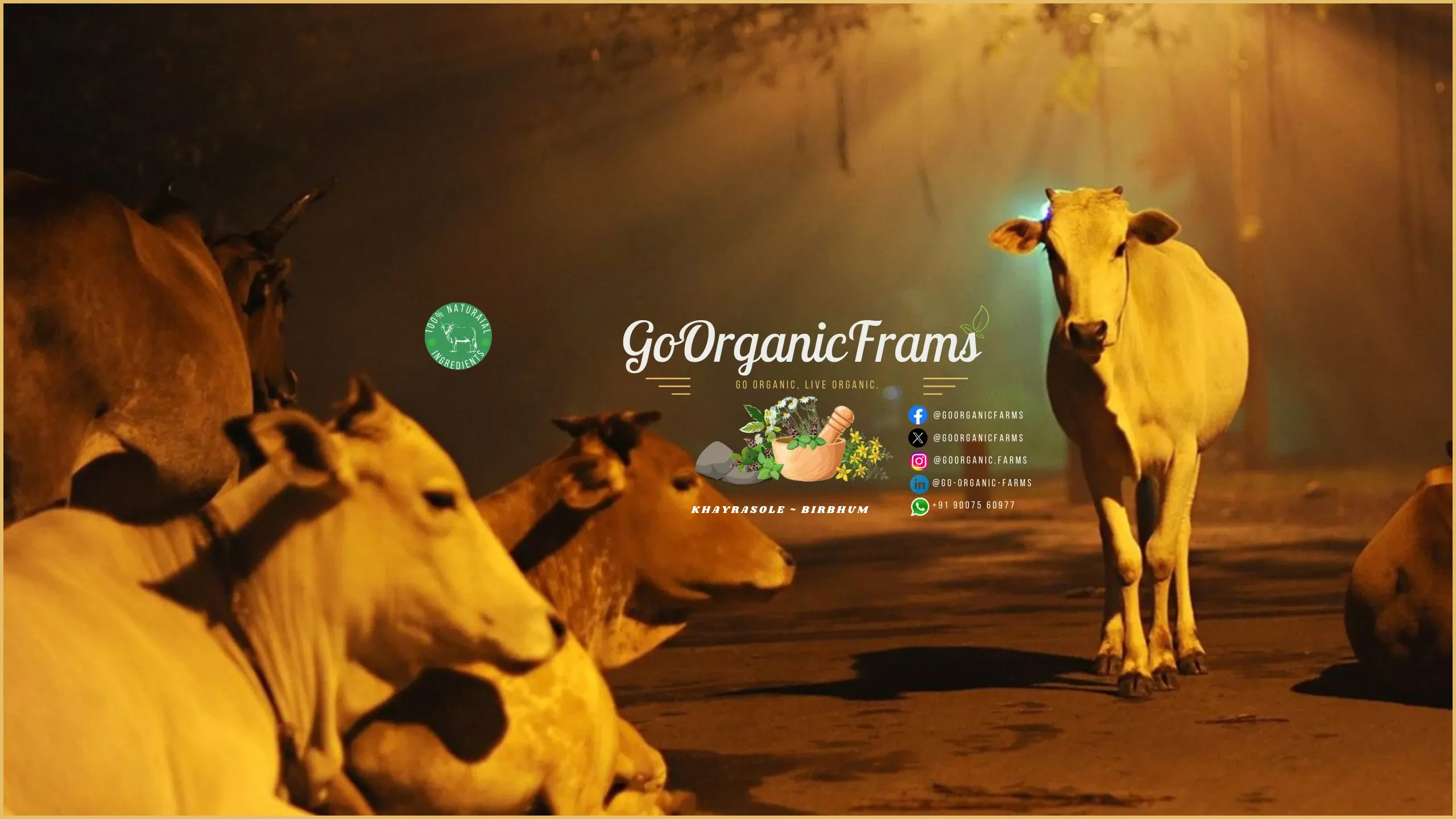 Contact us - Go Organic Farms